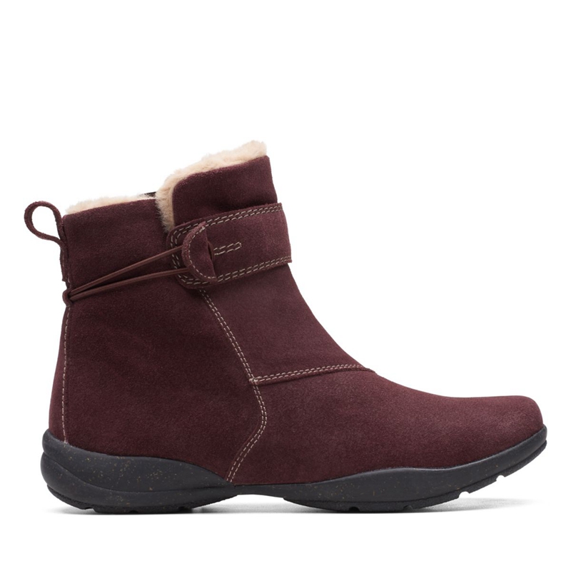 Bottes Du Désert Clarks Daim Bordeaux Femme|EHN-7436210