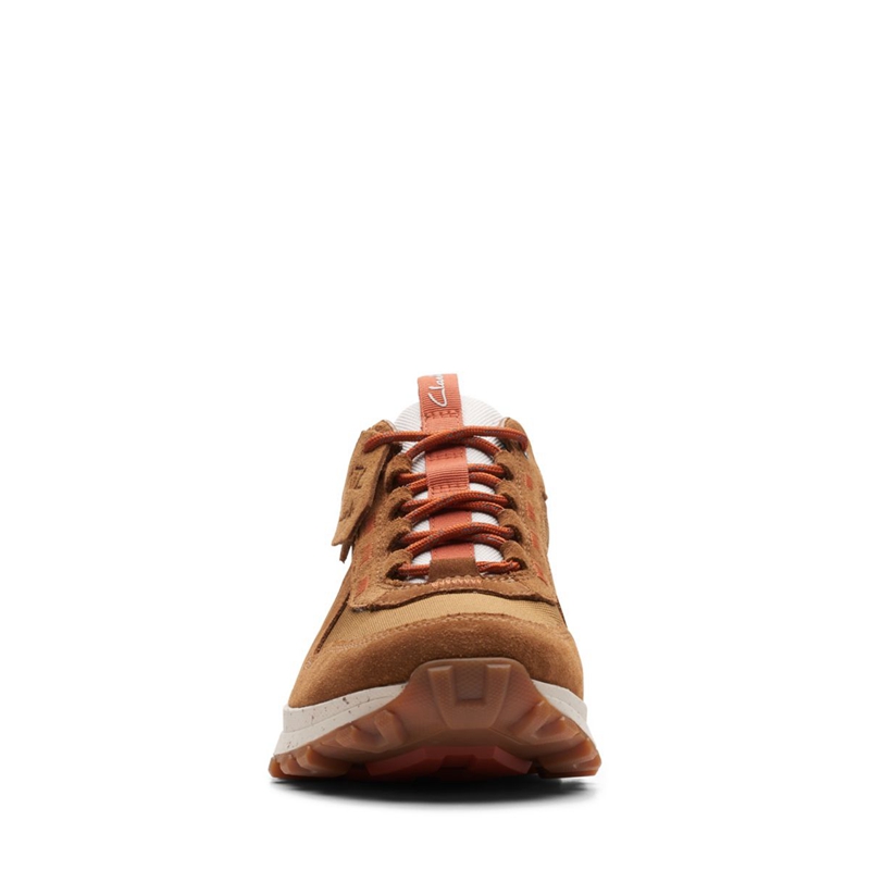 Baskets Clarks ATL Trek Walk Cognac Combi Marron Homme|NFV-1797823