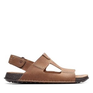 Sandales Clarks Crestview Bay Lea Marron Foncé Homme|JPN-3839765