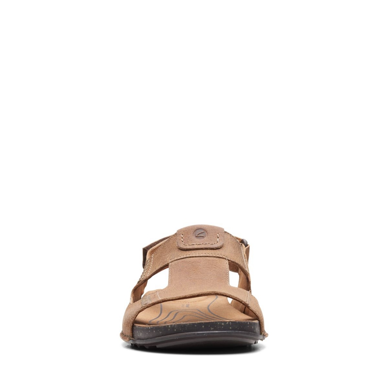 Sandales Clarks Crestview Bay Lea Marron Foncé Homme|JPN-3839765