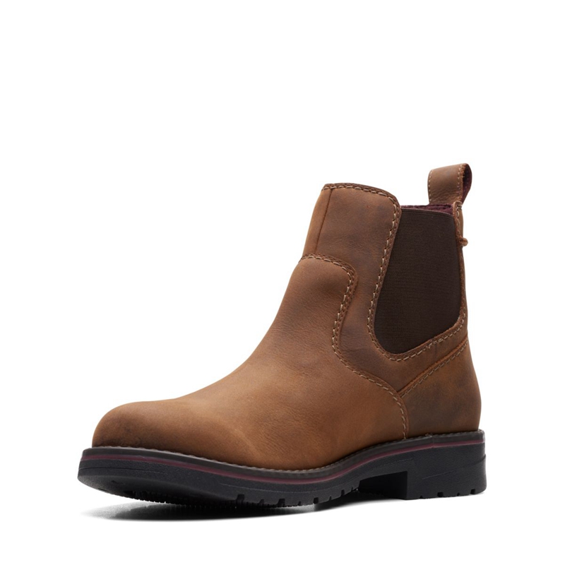 Chelsea Boots Clarks Morris Up Lea Marron Foncé Homme|OXH-7546243